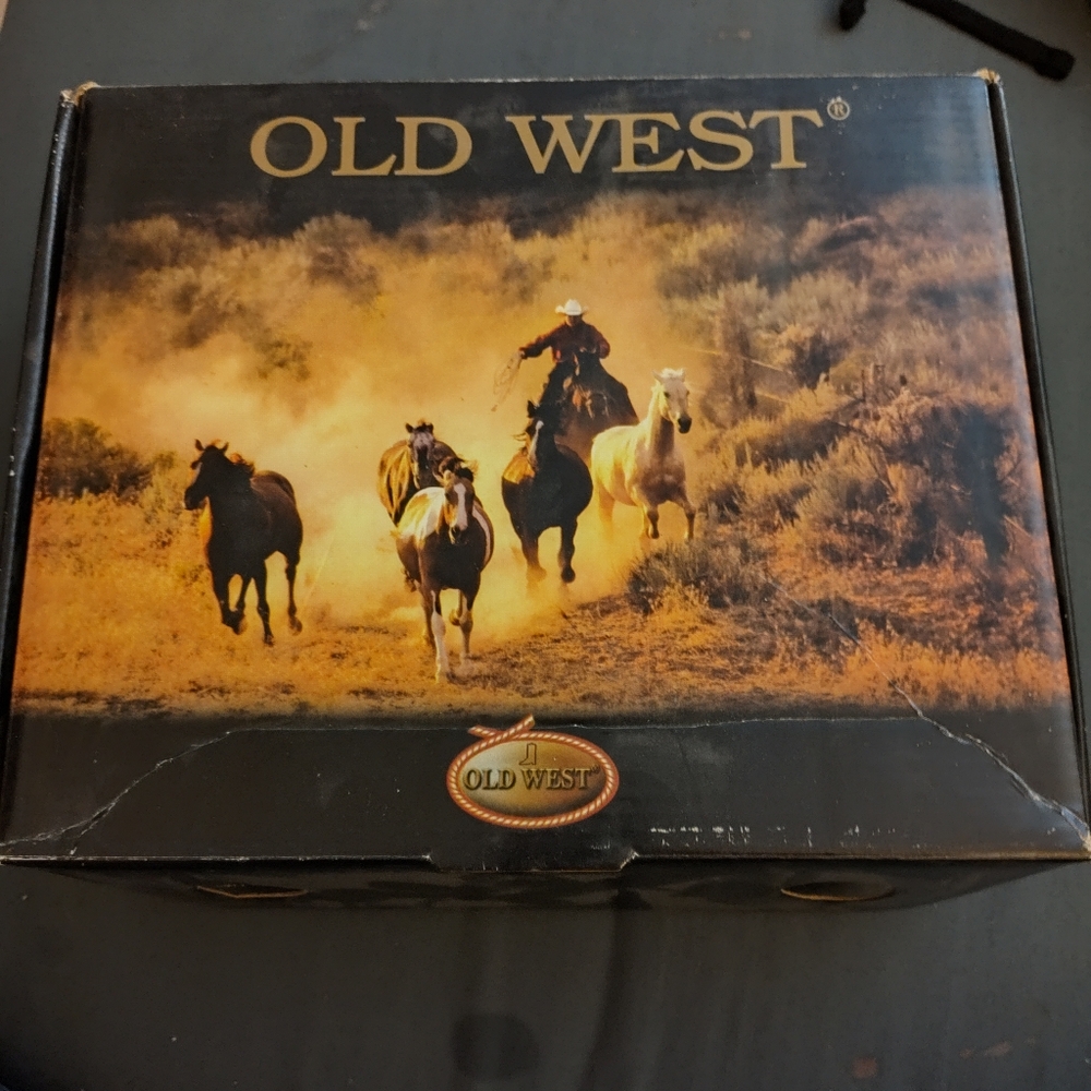 Old West kids boots